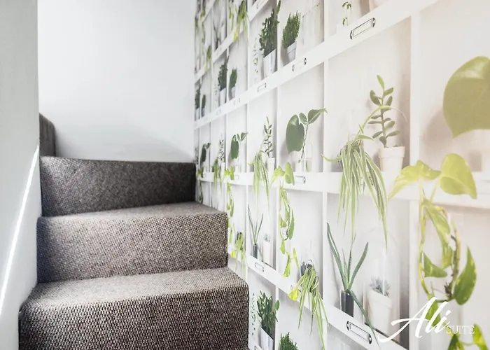 아파트 Ali 시라쿠사