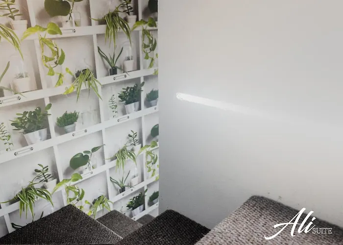 Ali 아파트 시라쿠사