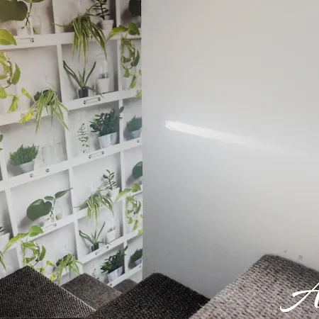 Ali Appartement Syracuse